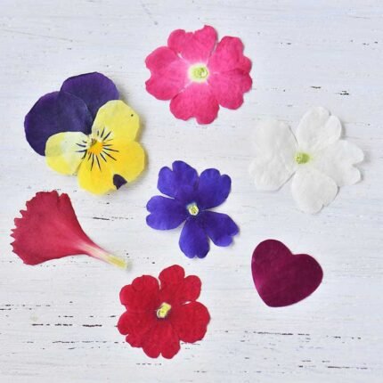 Mix 7 Types Sheet Set